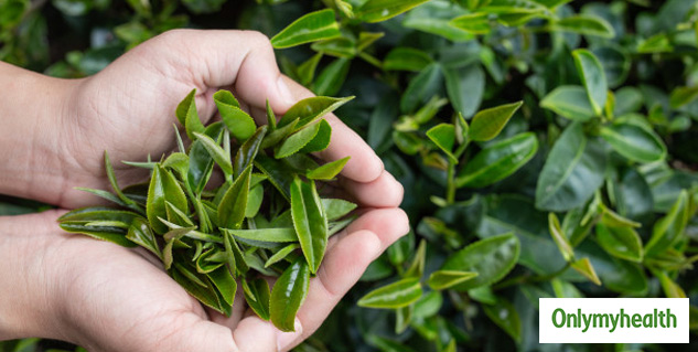 health drink from home plants