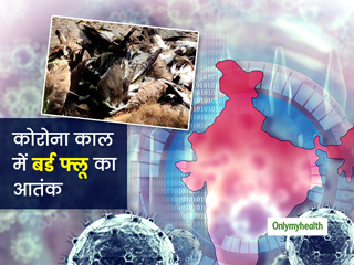 कोरोना महामारी के बीच क्या हमारी मुसीबत बढ़ा सकता है बर्ड फ्लू? जानें कोरोना काल में बर्ड फ्लू कितना खतरनाक है
