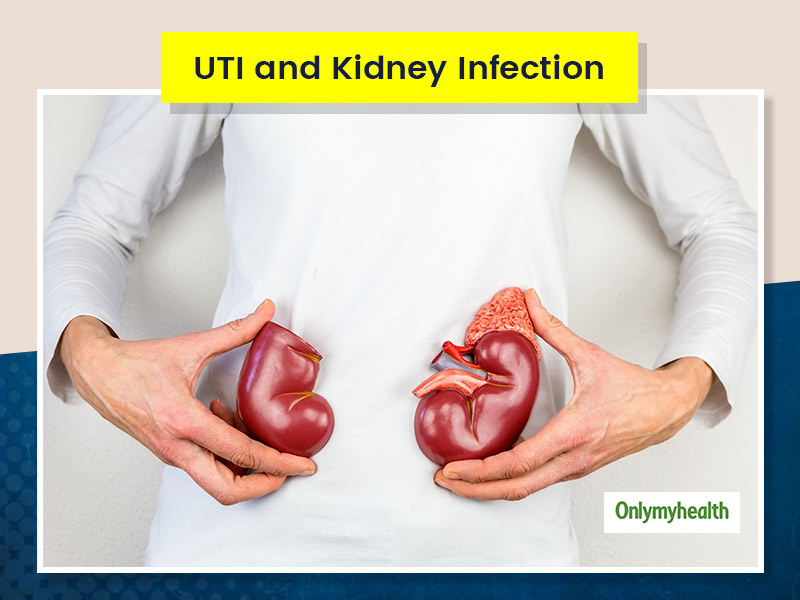 Kidney Infections Vs. Urinary Tract Infection: What Is The Difference?