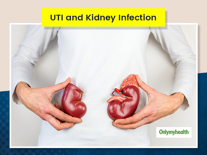 kidney-infections-vs-urinary-tract-infection-what-is-the-difference