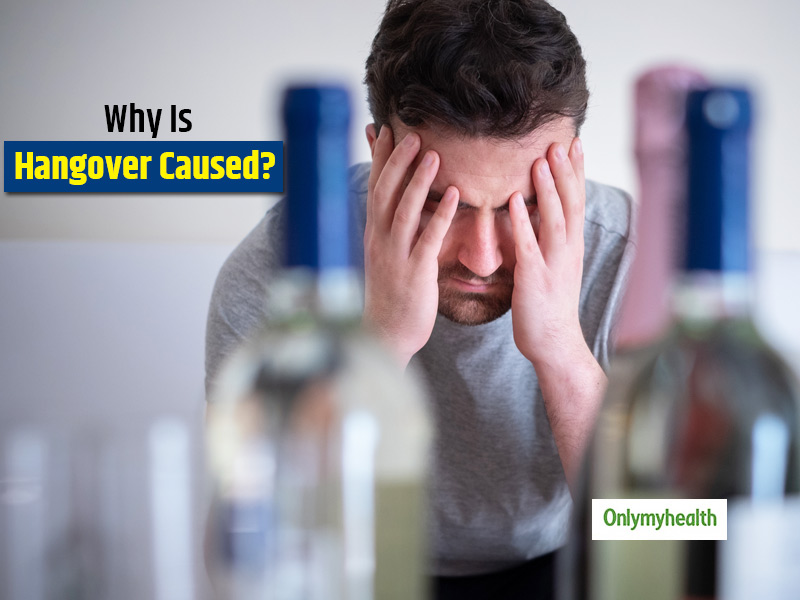 Do You Know Why Hangover Is Caused After Drinking Alcohol? Find Here