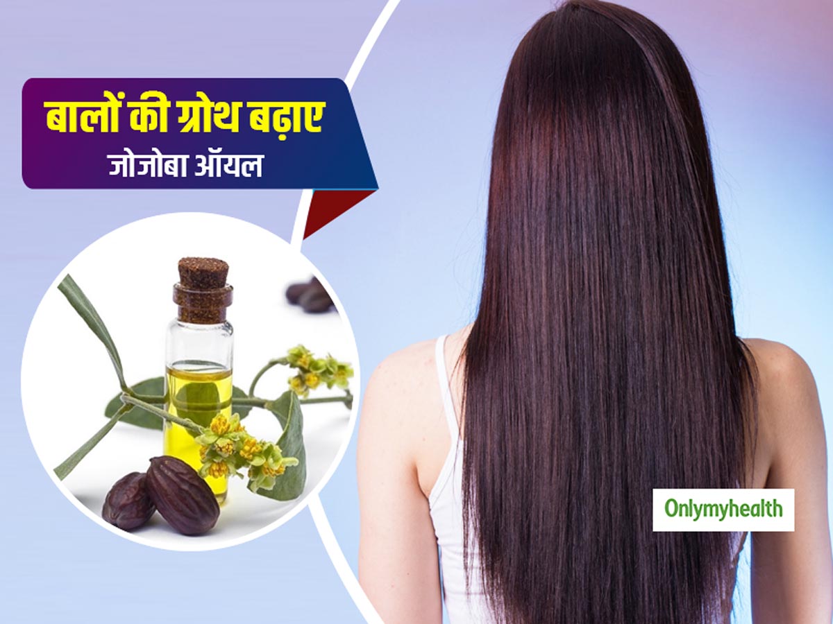 Jojoba Oil For Hair Benefits: How to Use Jojoba Oil for Long and Healthy  Hair in Hindi | बालों के लिए जोजोबा ऑयल के फायदे और जोजोबा ऑयल के इस्तेमाल  का तरीका |