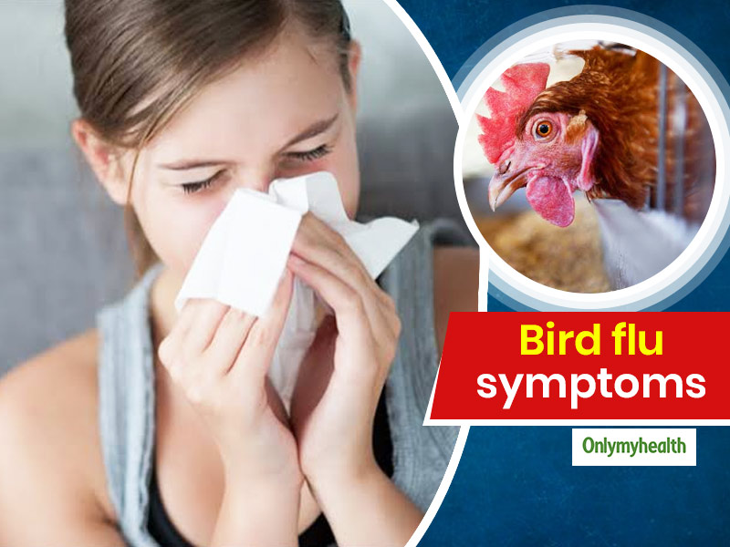 Bird Flu Symptoms Know The 9 Symptoms of Bird Flu For Timely Diagnosis