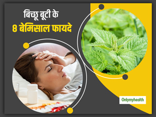 महिलाओं की परेशानियों दूर करे बिच्छू बूटी, जानिए इसके 8 फायदे और इस्तेमाल करने का तरीका