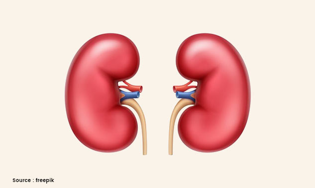 inside1_laukibarfeebenefits