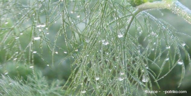 inside22_piercinginfection