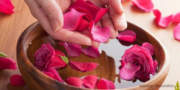 benefits of rose alovera gel