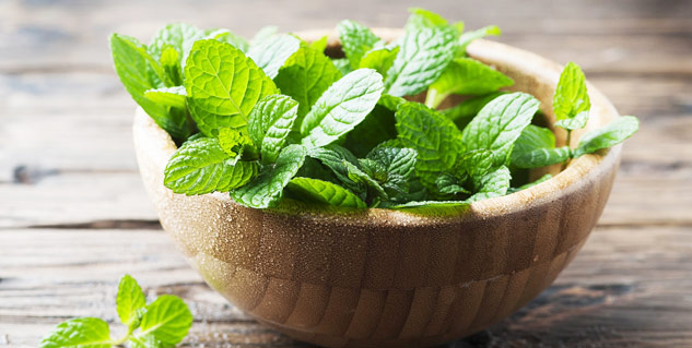 Mint Cure TB