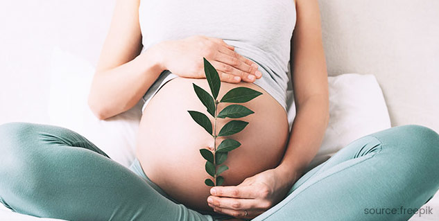 Inside2pregnancy