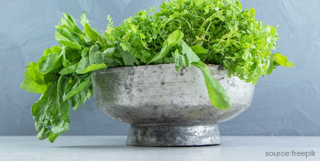 mint leaves for rat bite