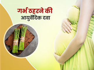 गर्भ ठहरने के लिए आयुर्वेदिक दवा है शतावरी (shatavari), जानें इसके 4 फायदे 