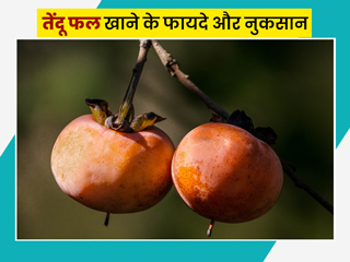 तेंदू फल खाने के 6 फायदे और कुछ नुकसान 