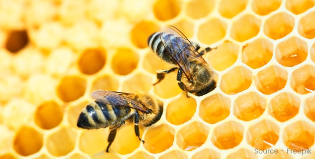 Inside2_honeybenefits