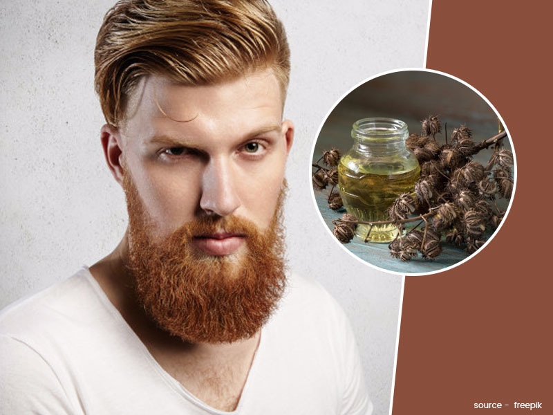 Oil for Beard Growth: दाढ़ी बढ़ाने के लिए लगाएं अरंडी का तेल (कैस्टर ऑयल), जानें इस्तेमाल का तरीका 