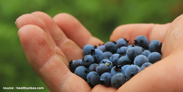 inside1_daruharidabenefits