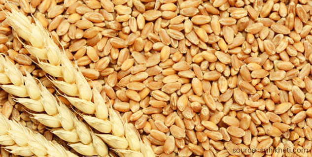 Inside4_puffedgrain