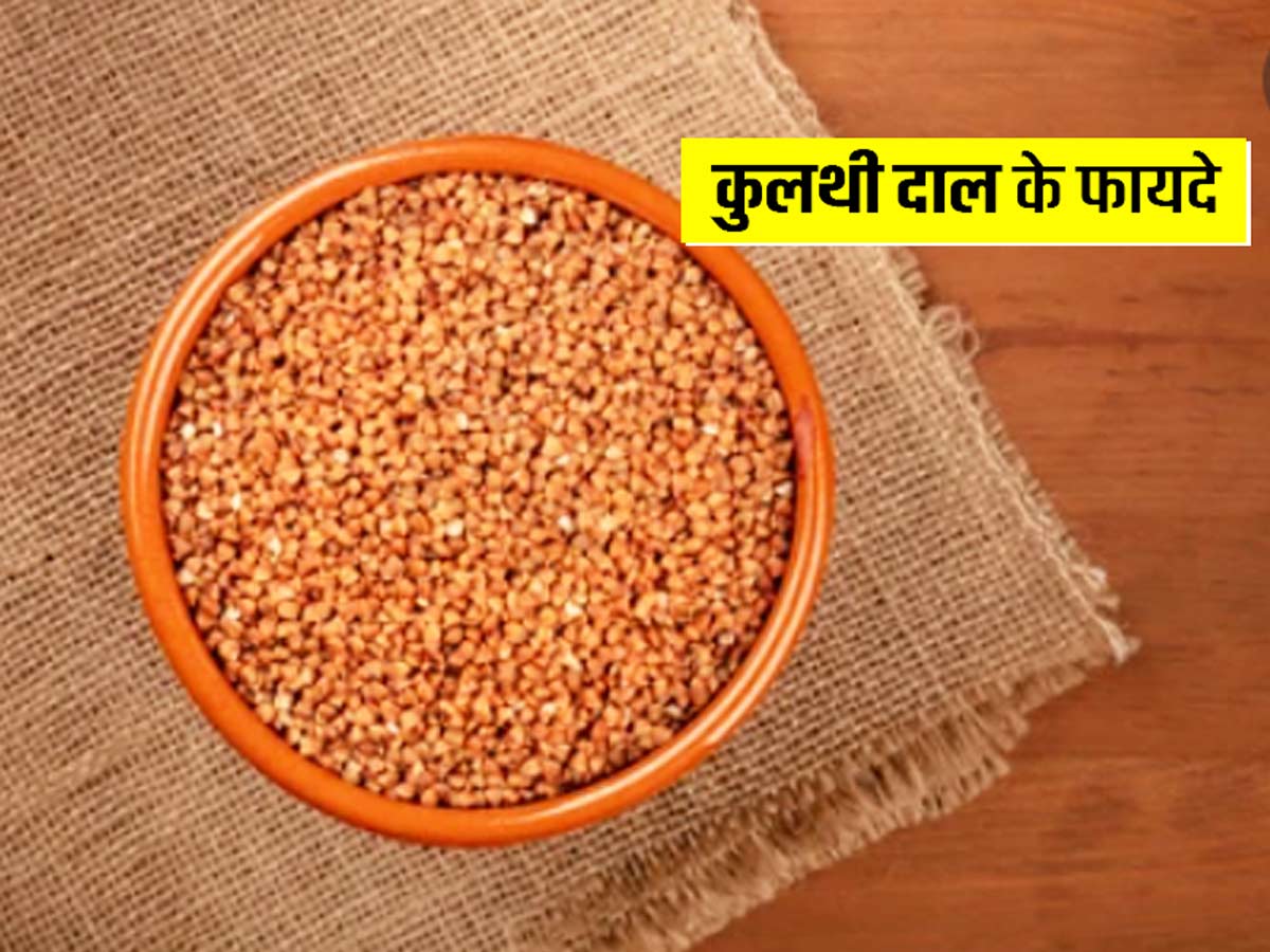 Top more than 153 kurti dal benefits best - netgroup.edu.vn