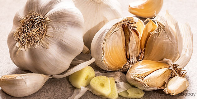 garlic