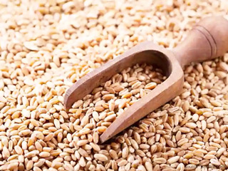 न्यूट्रीशनिस्ट से जानें 9 भुने अनाज खाने के फायदे, गांवों में आज भी स्नैक की तरह खाया जाता है भुना अनाज