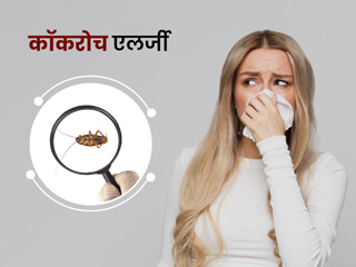 कॉकरोच एलर्जी क्या है? जानें इसके खतरे, लक्षण और बचाव के उपाय