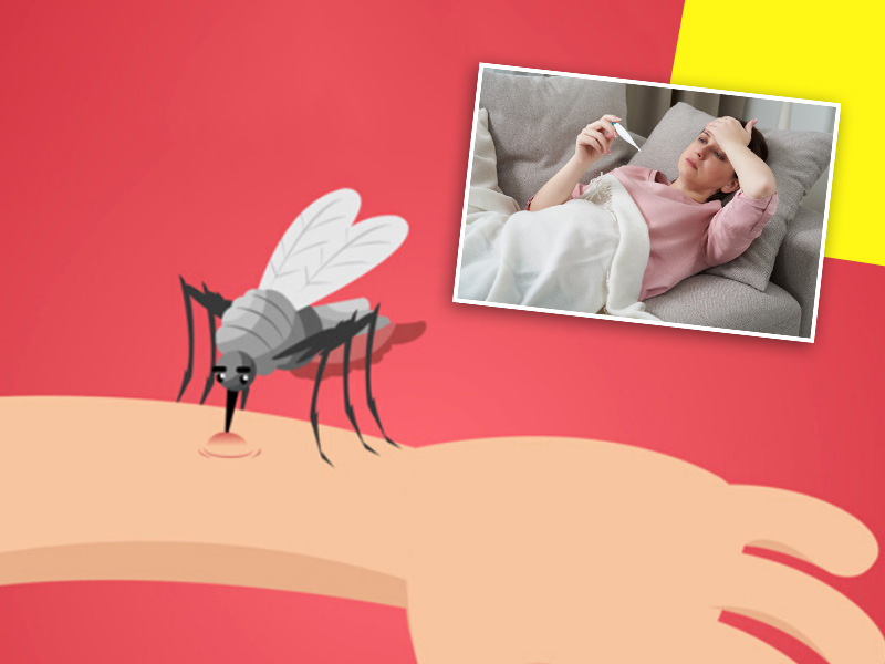 5 Mosquito-borne Illnesses That Are Prevalent In Monsoon