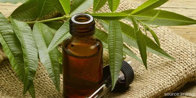 tea tree oil