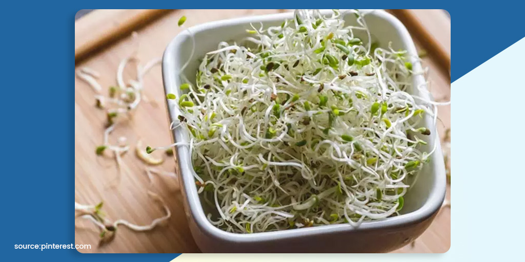 Alfalfa Health Benefits During Pregnancy Expert Tips In Hindi