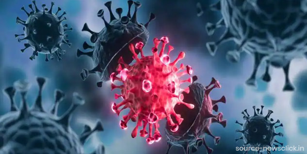 Inside1_spikeprotien