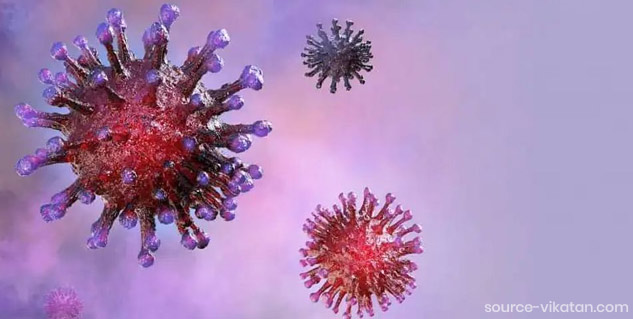 Inside2_spikeprotien