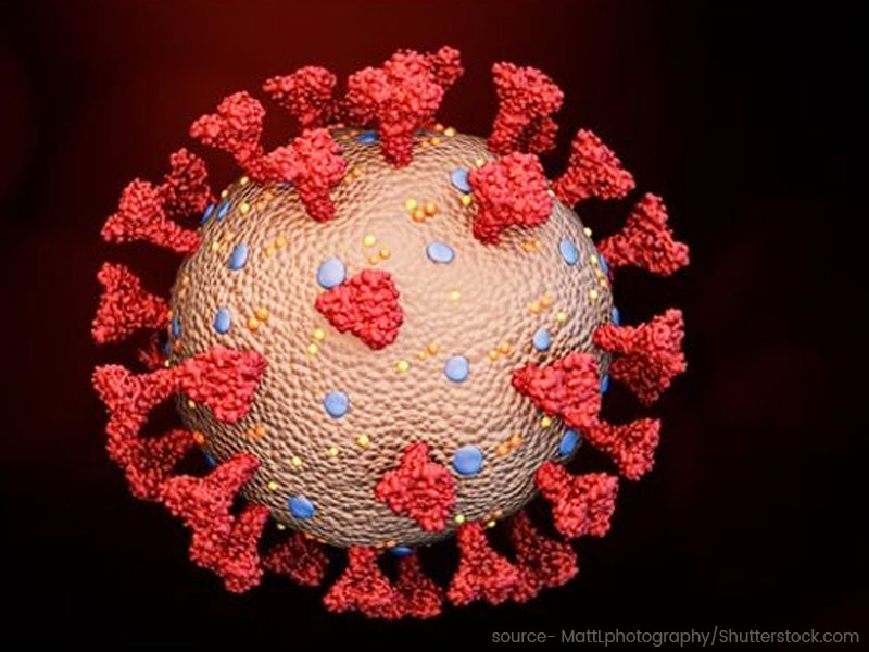 स्पाइक प्रोटीन क्या है? कोरोना वायरस इंफेक्शन के फैलने और वैक्सीन के असर में इसकी क्या भूमिका है?