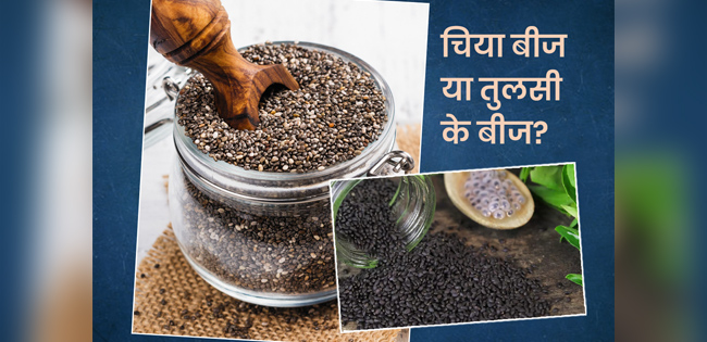 chia-seeds-vs-basil-seeds-which-is-better-for-weight-loss-in-hindi