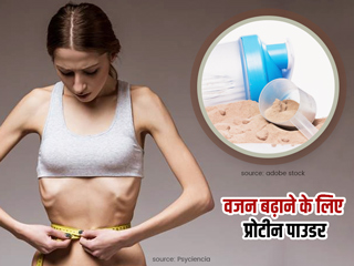 वजन बढ़ाने के लिए प्रोटीन पाउडर का इस्तेमाल है कितना फायदेमंद?  