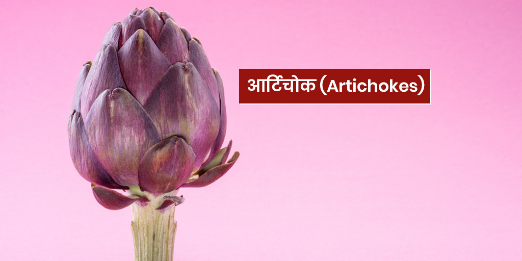 artichokes health benefits side effects in hindi। आर्टिचोक या हाथीचक