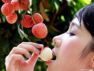 कैसे चुनें ताजी और बेस्ट लीची? जानें लीची और सेहत से जुड़े 8 जरूरी सवालों के जवाब