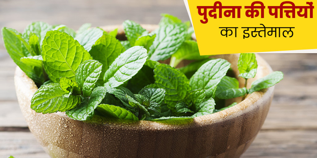 Various Uses of Mint Leaves for Good Health in Hindi इन 6 तरीकों से