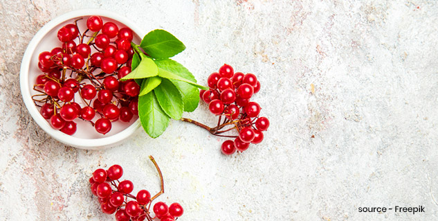 Ayurvedic-Remedies-to Get-Rid-of-UTI