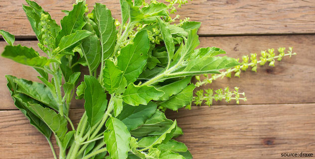 tulsi homemade cream