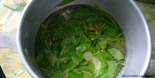tulsi water