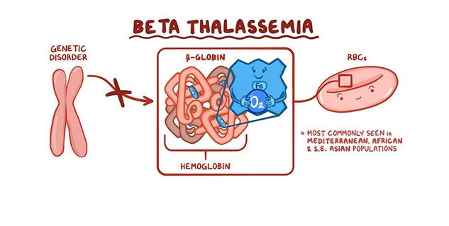 thalassemia-types-and-myths-all-you-need-to-know-for-awareness