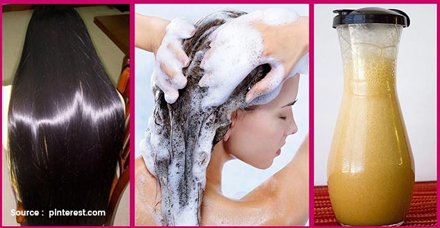 Shampoo With Coconut Oil and Honey