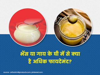 भैंस का घी या गाय का घी, कौन है ज्यादा फायदेमंद? जानें न्यूट्रीशनिस्ट से