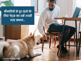 बरसात में पालतू जानवरों से हो सकती है कई गंभीर बीमारियां, जानें इनके लक्षण, कारण और बचाव के तरीके