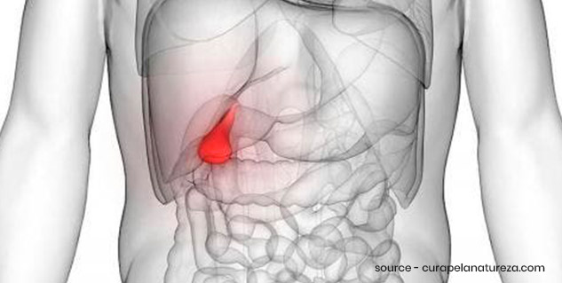 inside6_Cholecystitis