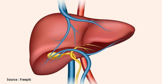 Hepatitis-Diet-Foods-to-Eat-and-Avoid 