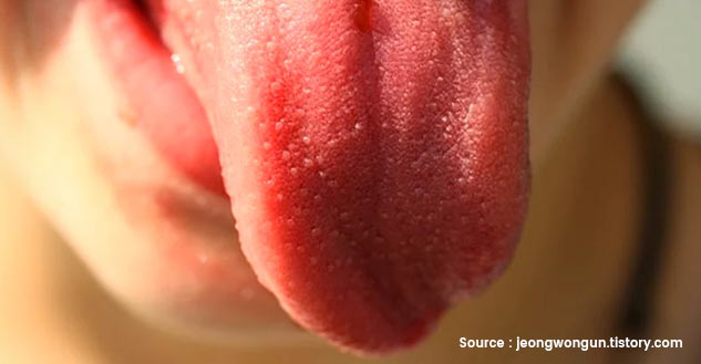 inside4_jeebhmesujan