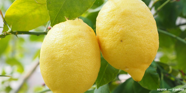 lemon