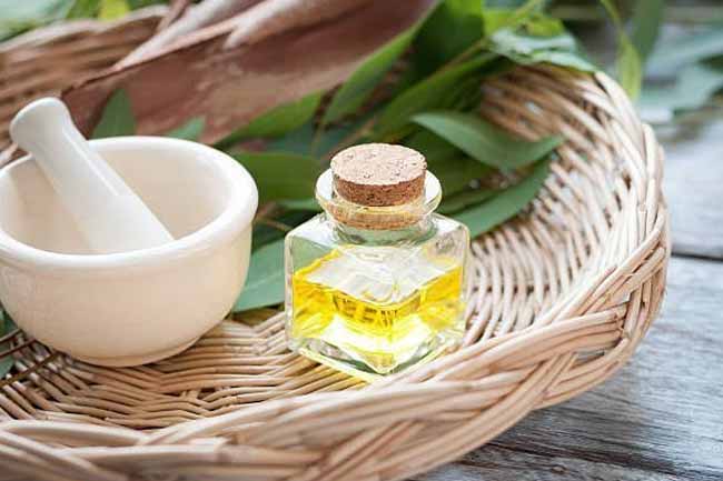 Eucalyptus oil