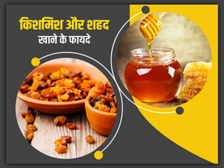 किशमिश और शहद साथ में खाने के 6 फायदे और सेवन का सही तरीका