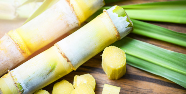 sugarcane 