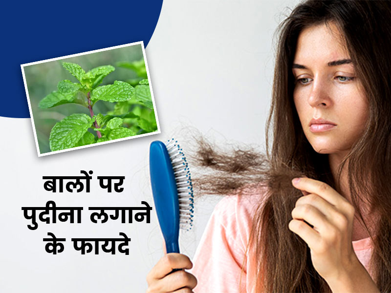 बालों के लिए बेहद फायदेमंद है पुदीना, जानें इसके 5 फायदे और प्रयोग करने का तरीका
